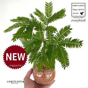 Go[tbViR`j {[^ KXe 1 yZ~XAEĕz lmL nChJ`[ ͔|Z~XOj[ A Ԋ ԕr everfresh hydroculture