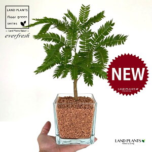 Go[tbViR`j L[u^ KXe 1 yZ~XAEĕz lmL nChJ`[ ͔|Z~XOj[ A Ԋ ԕr everfresh hydroculture