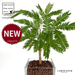 Go[tbViR`j L[u^ KXe 1 ynCh{[AEĕz lmL nChJ`[ ͔|nChR[ A Ԋ ԕr everfresh hydroculture