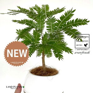 Go[tbViR`j 4 F {[|bg M̎ vX`bN MTCY 1 yRRt@Co[z lmL nChJ`[ ͔|nChR[ A Ԋ ԕr e