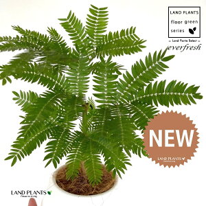 Go[tbViR`j 4 F {[|bg M̎ vX`bN MTCY 1 yRRt@Co[z lmL nChJ`[ ͔|nChR[ A Ԋ ԕr e