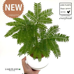 Go[tbViR`j 4 F {[|bg M̎ vX`bN MTCY 1 yRRt@Co[z lmL nChJ`[ ͔|nChR[ A Ԋ ԕr e