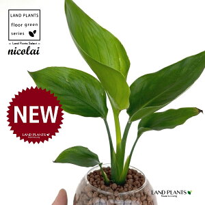 I[KX^iXg`AEjRCj {[^ KXe 1 ynCh{[AEĕz Xg`jRC SNN`EJ nChJ`[ ͔|nChR[ A