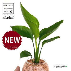 I[KX^iXg`AEjRCj {[^ KXe 1 yZ~XAEĕz Xg`jRC SNN`EJ nChJ`[ ͔|Z~XOj[ A