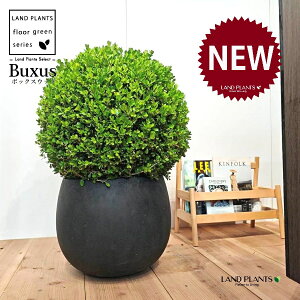 {bNXEbhimcQFgsA[dāj 10 F ۂĂ X^CbV Aؔ 1 yMERRt@Co[z mѐA ZCEcQ {M XhEcQ cQ ѐA _ 