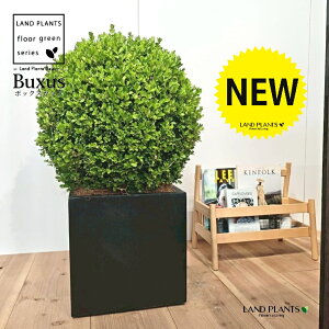 {bNXEbhimcQFgsA[dāj 10 F t@Co[ L[u^ 픫 1 yMERRt@Co[z mѐA ZCEcQ {M XhEcQ cQ ѐA _ 