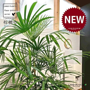 yÓT|Az V`NFL|i{j 10 F ۂĂ X^CbV Aؔ yRRt@Co[EMz | Ϟ| JVE`N sX Jm| | V