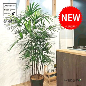 yÓT|Az V`NFL|i{j 10 F ZA[g 1 yRRt@Co[EMz | Ϟ| JVE`N sX Jm| | V| ω| Rhap