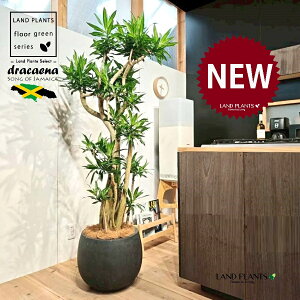 hZii\OIuW}CJj 10 F ۂĂ X^CbV Aؔ 1 yMERRt@Co[z \OIu W}CJ hZiE\OEIuEW}CJ ZW