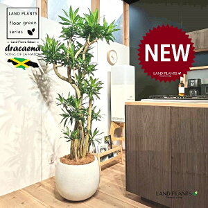 hZii\OIuW}CJj 10 F ۂĂ X^CbV Aؔ 1 yMERRt@Co[z \OIu W}CJ hZiE\OEIuEW}CJ ZW