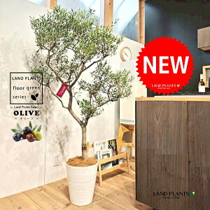 I[ui`Fdāj 10 F ZA[g 1 yMERRt@Co[z I[u̖ I[u̎ ŗeւ̃v[g ̋LOi eMtg e