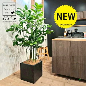 `hAiiF^j 10 F t@Co[ L[u^ 픫 1 yRRt@Co[EMz `hA REZC`hA ` V VmL q q̖ C. m