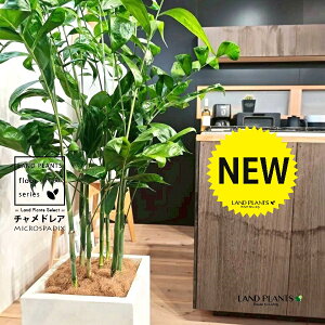 `hAiiF^j 10 F t@Co[ L[u^ 픫 1 yRRt@Co[EMz `hA REZC`hA ` V VmL q q̖ C. m