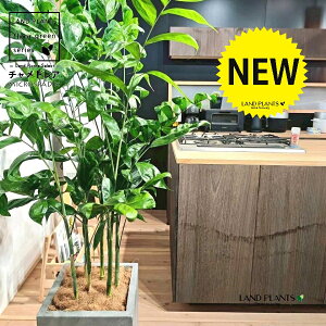 `hAiiF^j 10 DF t@Co[ L[u^ 픫 1 yRRt@Co[EMz `hA REZC`hA ` V VmL q q̖ C. m