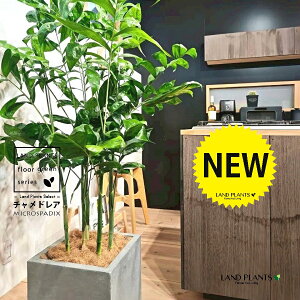 `hAiiF^j 10 DF t@Co[ L[u^ 픫 1 yRRt@Co[EMz `hA REZC`hA ` V VmL q q̖ C. m