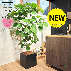 Ex[^i^FR`j 10 F t@Co[ L[u^ 픫 1 yMERRt@Co[z tBJX tBJXEx[^ S S̖ Ex[^ E_x[^ Fi