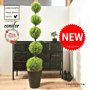 S[hNXgi5i{[dẴgsA[F160cmj 10 F ZA[g 1 yMERRt@Co[z ʑ gsA[ NX}X NX}Xc[ qo Rjt@[ Rjt@ 