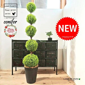 S[hNXgi5i{[dẴgsA[F160cmj 10 F ZA[g 1 yMERRt@Co[z ʑ gsA[ NX}X NX}Xc[ qo Rjt@[ Rjt@ 