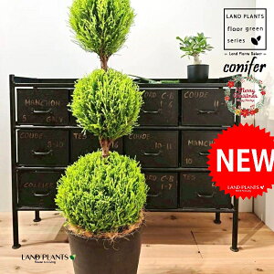 S[hNXgi5i{[dẴgsA[F160cmj 10 F ZA[g 1 yMERRt@Co[z ʑ gsA[ NX}X NX}Xc[ qo Rjt@[ Rjt@ 