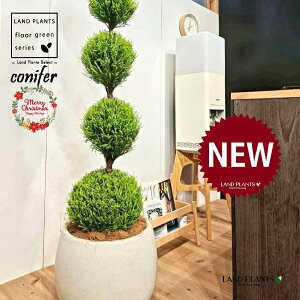 S[hNXgi5i{[dẴgsA[F160cmj 10 F ۂĂ X^CbV Aؔ 1 yMERRt@Co[z ʑ gsA[ NX}X NX}Xc[ qo R