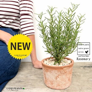 [Y}[ F X|bg V_[^ 픫yVRӐ΁Eĕz n[u  A  f eRb^  uE  ی`  ĕJ[h