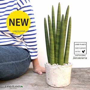 TXxAiX^bL[j F X|bg V_[^ 픫iVRӐ΁j TZxA E[c A  f eRb^  zCg AeB[NzCg  ی` ϗtA