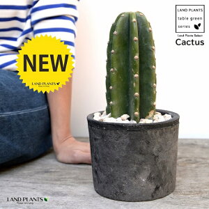 T{eiT{eF1{j F X|bg V_[^ 픫iVRӐ΁j 1F T{e A gQiVT{e ȂT{e JN^XA  f eRb^  u