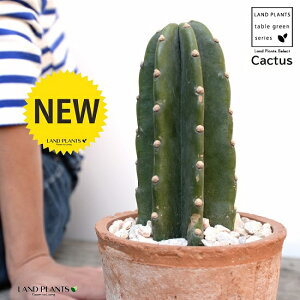 T{eiT{eF1{j F X|bg V_[^ 픫iVRӐ΁j 1F T{e A gQiVT{e ȂT{e JN^XA  f eRb^  u