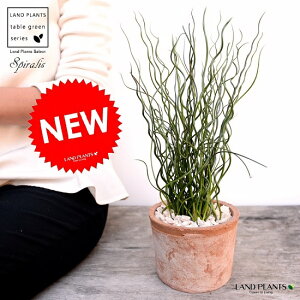 ZCiZC\Ej F X|bg V_[^ 픫iVRӐ΁j a C COT ZC 鐫A A  f eRb^  uE  ی` ϗtA A 