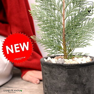 A~S[hiRjt@[j F X|bg V_[^ 픫iVRӐ΁j qmL NX}Xc[ NX}X Rjt@ jt A  f eRb^  ubN  ی` 