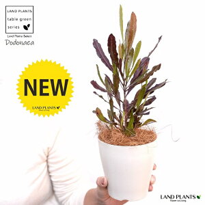 yz hhiGAivvAj 4 F vX`bNiRRt@Co[j vvA I[XgAvc I[W[vc jt rXR[T BXR[T A c c 