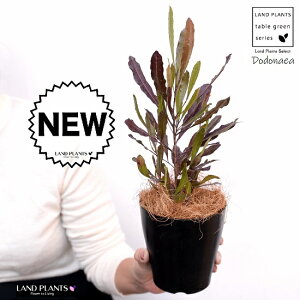 yz hhiGAivvAj 4 F vX`bNiRRt@Co[j vvA I[XgAvc I[W[vc jt rXR[T BXR[T A c c 