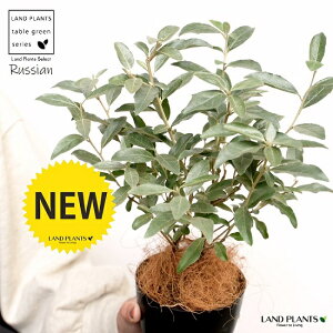 yz VAI[uiR`j 4 F vX`bN A c c v v z\oO~ iMoO~  O~̎ VA VA I[u ubN   ۔ 