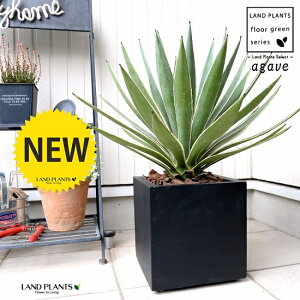 AKxinNZREj F t@Co[ L[u^ 픫io[N`bvj A   F p lp ^ ϗtA  AG E[c JtHjA 㗖 AKy AK