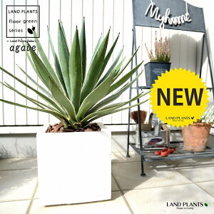 AKxinNZREj F t@Co[ L[u^ 픫io[N`bvj A   zCg p lp ^ ϗtA  AG E[c JtHjA 㗖 AKy 