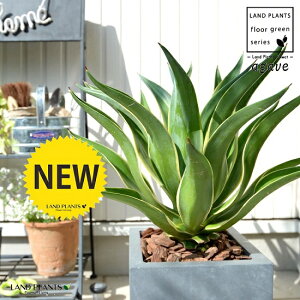 AKx (xlYG) O[ L[u^ 픫io[N`bvj A  D DF p lp ^ ϗtA  AG E[c JtHjA 㗖 AKy AKF