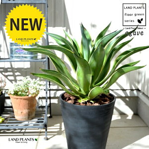 AKxixlYGj ubN ZA[g 8io[N`bvj A   F 8 ^ ϗtA  AG E[c JtHjA 㗖 AKy AKF AK׃x