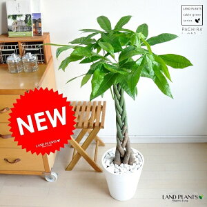 pLi5{ҍ݁j F ZA[g 8 A lWlW  ANAeBJ j Vzj JƏj 蕨 v[g  CeA