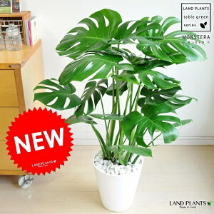 Xe F ZA[g 8 iVR΁FFj A   eRb^ f  zCg Eh  ϗtA ϗt ^ 