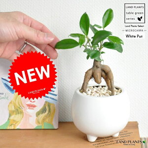 K炷 삪Zޖ KW} t {[^ 픫 F KW} yF΁EMEĕz  e LOi e e ~j lQ ϗtA CeA Mtg a