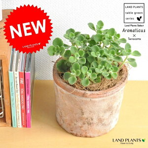 A}eBJX F X|bg V_[^ 픫yRRt@Co[Eĕz vNgTX LoIKm n[u n[ueB[ X[v~g Hp  A c c eRb