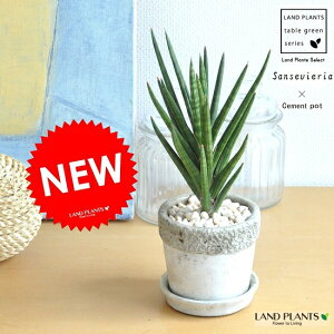 TXxAitVV[j y^z Ζ͗l̃Zg|bg STCY 픫 MtgɍœKITEMyyMt_̂zyyMt_̂zyyMt_bZzyyMt_bŹzWE