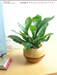 REirJNV_j vX`bN c[g{[|bg yM̌^EہEĕz@RE@@veBPE@p@