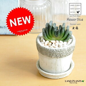 AinI`AFʐj Ζ͗l̃Zg|bg STCY 픫 nI`AEgDJ[^@yyMt_̂zyyMt_̂zyyMt_bZzyyMt_bŹzϗtA