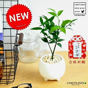 т̖ iiMj t {[^ 픫 F FOŘ_؁@iM̖؁@ϗtA@̖؁@iM@Ձ@hV̓@|Cg@ϗtA  t OɎg