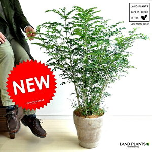 V}glR@C^AeRb^@glR@Zbg@glR@A@@V}glR@V}glR@glR@oRjXg@hV̓@|Cg@ϗtA