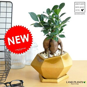 KW}i^Cvj F |S^ p` 픫 yF΁EMEĕz ܂ K̎ 삪h A  c c  CG[  Eh ϗtA 