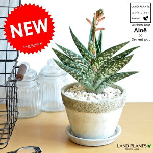 AGicсF`_jVLj ^ Ζ͗l̃Zg|bg MTCY 픫 A@ϗtA@픫@AKx@A ϗtA 