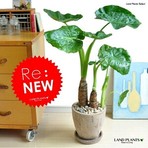 NYCioj F GbO^ Eh 픫iVR΁FFjiMtj eRb^@A@tATCY@AJVA@@A[JVA@TgC@o@AWAO