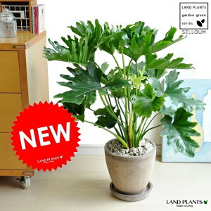 Z[ F GbO^ Eh 픫 tBfh@TgC@̂Ђ^̗tρ@hV̓@|Cg@ϗtA